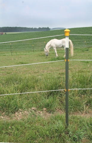 Pfosten 213cm / T Pfähle Pfosten T Post Weidezaun Pfahl Stahl 