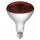 Infrarotlampe 250W Hartglas, rot