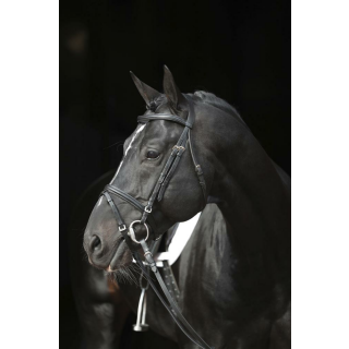 Trensen-Zaum Standard Leder f&uuml;r Pony, schwarz