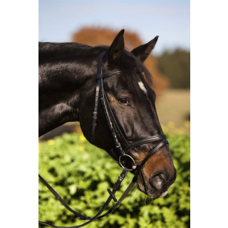 Trensen-Zaum Standard Leder f&uuml;r Warmblut, schwarz