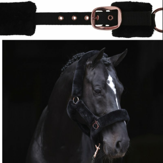 Halfter SuperSoft, black, Pony