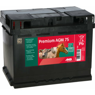 AKO Premium AGM Akku 12V / 75 Ah (C100)