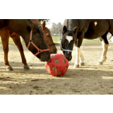 HeuBoy - Futterspielball f&uuml;r Pferde, &Oslash; 40cm, rot